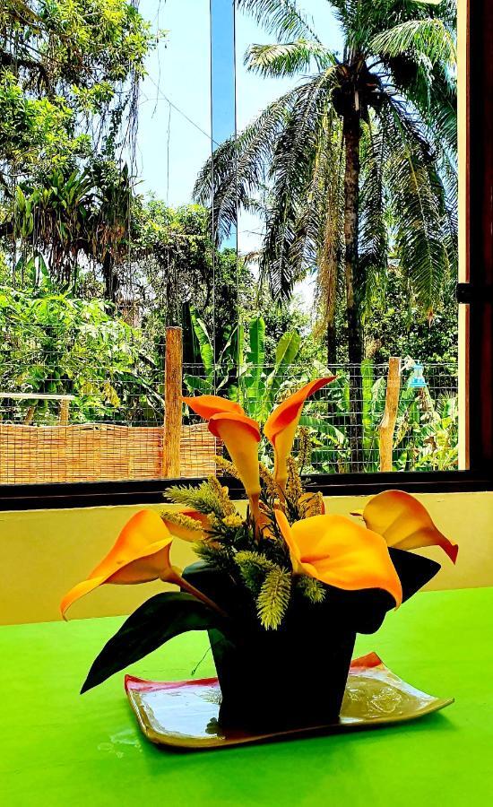 Bela Ipe Pousada Hostel Apart Morro de São Paulo Екстериор снимка